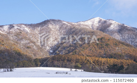 蒜山高原的秋葉與雪景 115072460