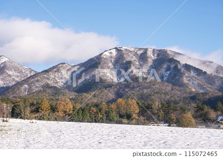 Autumn leaves and snow scenery on the Hiruzen Plateau Autumn leaves and snow scenery on the Hiruzen Plateau 115072465