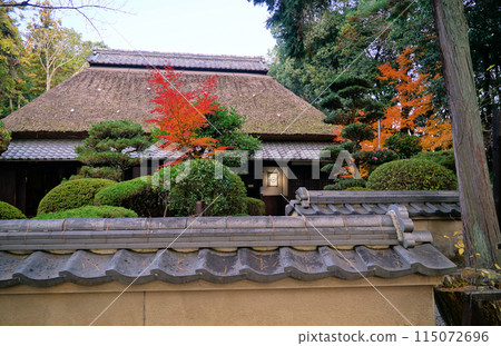 上野公園的秋妝 115072696