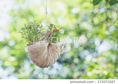 Portulaca Beautiful Flowers Hang in pot. Vintage autumn landscape blurry nature background. 115072887