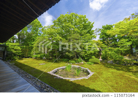 京都新綠、本法寺、巴花園 京都新綠、本法寺、巴花園 115073164