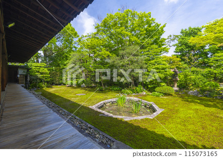 Fresh greenery in Kyoto, Honpoji Temple, Tomoe Garden 115073165