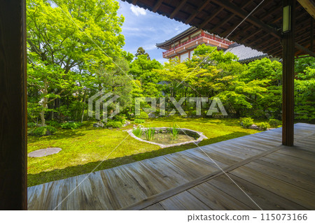 京都新綠、本法寺、巴花園 京都新綠、本法寺、巴花園 115073166