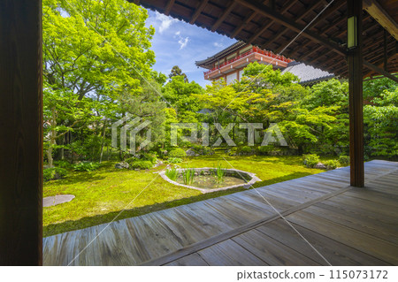 從書院看到的新綠京都、本法寺、巴花園 從書院看到的新綠京都、本法寺、巴花園 115073172