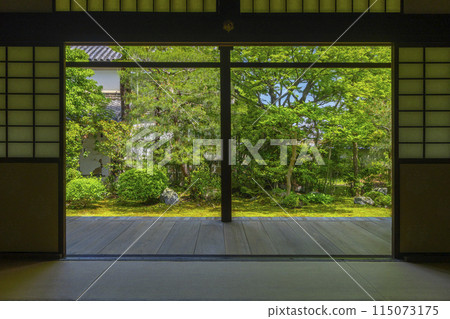 Fresh greenery in Kyoto, Honpoji Temple, Tomoe Garden seen from the Shoin Fresh greenery in Kyoto, Honpoji Temple, Tomoe Garden seen from the Shoin 115073175