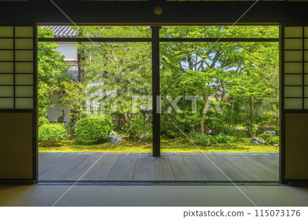 Fresh greenery in Kyoto, Honpoji Temple, Tomoe Garden seen from the Shoin Fresh greenery in Kyoto, Honpoji Temple, Tomoe Garden seen from the Shoin 115073176