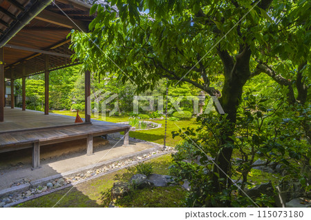 京都的新綠、本法寺、從走廊可以看到巴的花園 115073180
