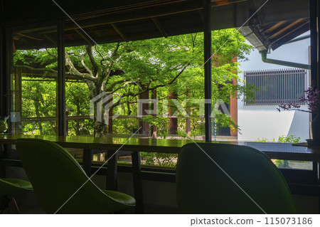 京都的新綠、本法寺、從休息室看到的花園 京都的新綠、本法寺、從休息室看到的花園 115073186
