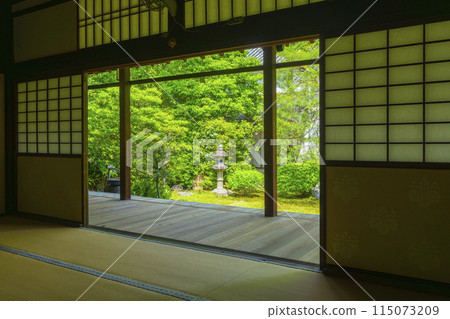 從書院看到的新綠京都、本法寺、巴花園 從書院看到的新綠京都、本法寺、巴花園 115073209