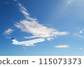 The plane is flying in the sky with the brightest weather of the summer season. 115073373