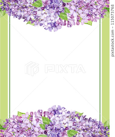 Beautiful lilac lilac with leaves and buds. Hand drawn watercolor illustration. Frame, square template, blank for text, isolated from background. Beautiful lilac lilac with leaves and buds. Hand drawn watercolor illustration. Frame, square template, blank for text, isolated from background. 115073768