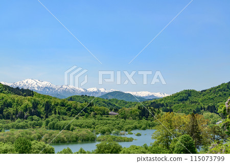 Lake Shirakawa: Blue sky, remaining snow and fresh green submerged forest 115073799