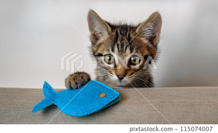 A kitten asking to play 115074007