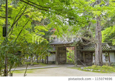 Kyoto, Makio-san Saimyoji Temple, front gate surrounded by fresh greenery 115074696