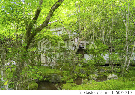 Kyoto, Makio-san Saimyoji Temple, Behind the reception hall, Quaint moss garden 115074710