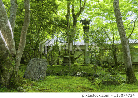 京都，牧尾山西明寺，客堂後面，古色古香的苔蘚花園 115074724