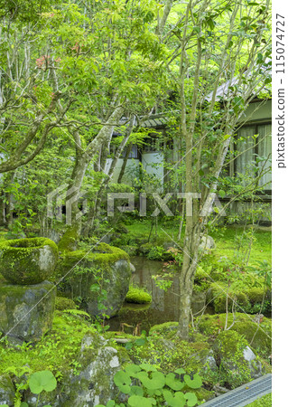 京都，牧尾山西明寺，客堂後面，古色古香的苔蘚花園 115074727