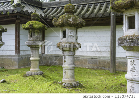 Fresh greenery in Kyoto: Makio-san Saimyoji Temple, quaint grounds, moss-covered stone lantern Fresh greenery in Kyoto: Makio-san Saimyoji Temple, quaint grounds, moss-covered stone lantern 115074735