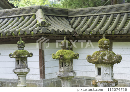 京都的新綠、牧尾山西名寺、古色古香的庭院、長滿青苔的石燈籠 115074736