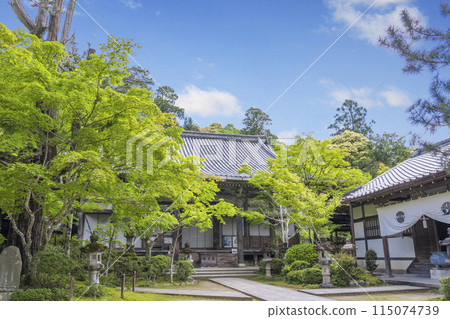 Kyoto in the fresh greenery of Makio-san Saimyoji Temple, Main Hall and Seitendo Kyoto in the fresh greenery of Makio-san Saimyoji Temple, Main Hall and Seitendo 115074739