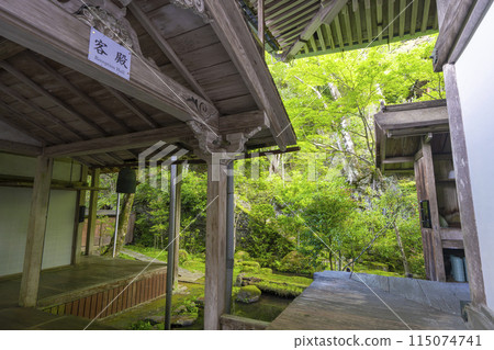 Kyoto in the fresh greenery of Makio-san Saimyoji Temple, the corridor leading to the reception hall 115074741