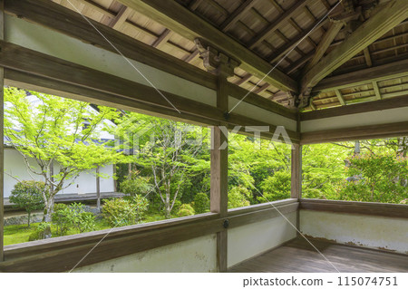 京都的新綠,牧尾山西名寺,從走廊上可以看到美麗的苔蘚花園 京都的新綠,牧尾山西名寺,從走廊上可以看到美麗的苔蘚花園 115074751