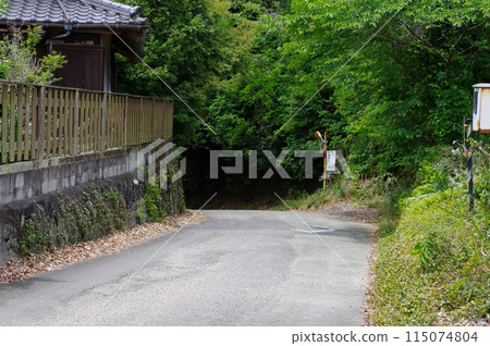 Taharazaka and Sannozaka in Kumamoto City, Kumamoto Prefecture 115074804