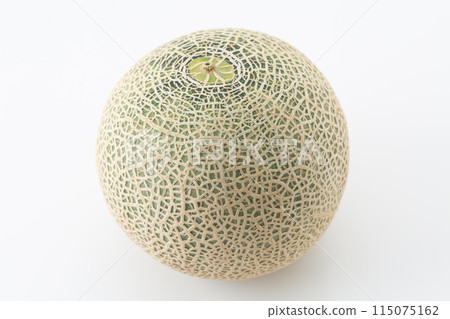 白色背景上的安地斯山脈瓜 115075162