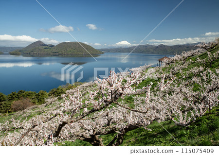 Plum Garden at Sobetsu Park 115075409