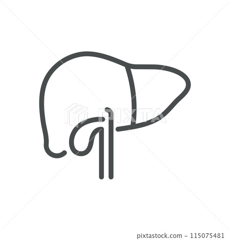 Liver and Gallbladder Icon. Isolated Line Illustration of Human Liver and Gallbladder, Representing Hepatology, Digestive Health, and Biliary System. Perfect for Medical and Healthcare Applications. 115075481