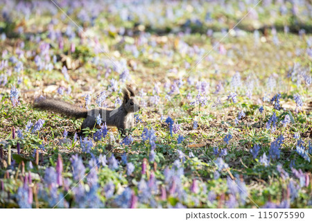 Ezolith in the flower garden 115075590
