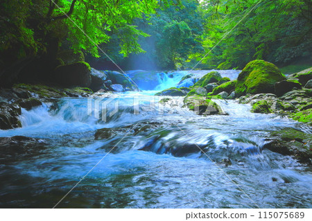 夏日陽光下的菊池溪谷（菊池市） 115075689