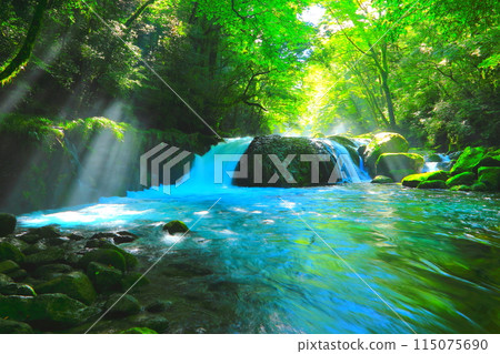 夏日陽光下的菊池溪谷（菊池市） 115075690