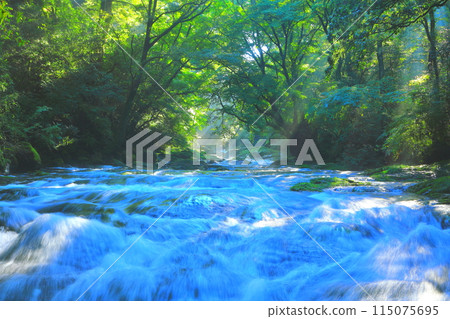Kikuchi Valley in the summer sun (Kikuchi City) 115075695