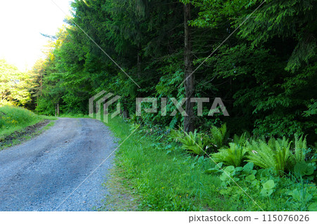 岩手縣小岩井農場的農場道路和豐富的自然小徑 115076026