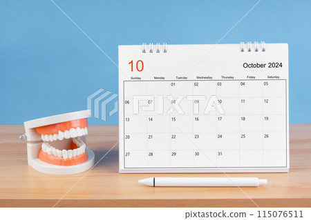 October monthly desk calendar for 2024 year and model dentures on the table. 115076511
