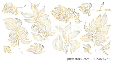 Vector set of gold wavy leaves isolated, plant branch line illustration, luxury foliage decoration. Vintage ornament elements, jungle, summer background. Vector set of gold wavy leaves isolated, plant branch line illustration, luxury foliage decoration. Vintage ornament elements, jungle, summer background. 115076762