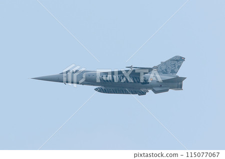 Spanish Air Force Mirage F1M fighter jet 115077067