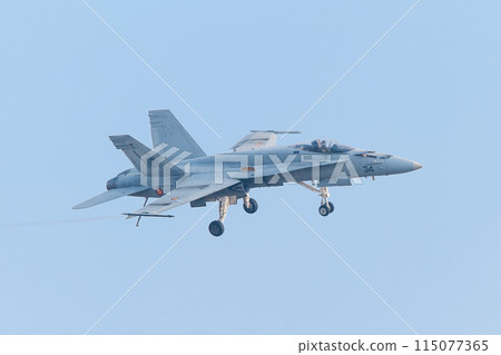 Spanish Air Force EF-18A Hornet 115077365
