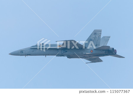 Spanish Air Force EF-18A Hornet 115077367