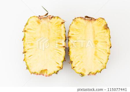 白背菠蘿 115077441