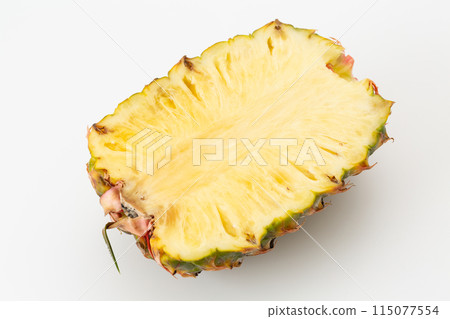 白背菠蘿 115077554