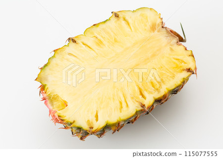 白背菠蘿 115077555