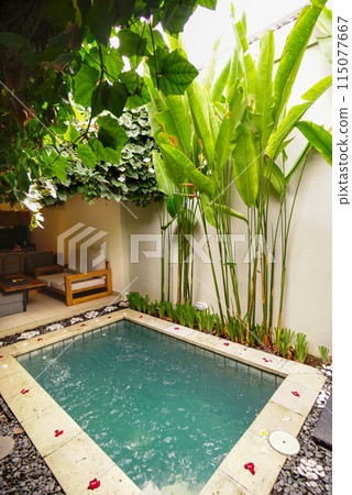 Beautiful contemporary home with pool and tropical ornament and plants pool with view of tropical blue water in clean garden 115077667