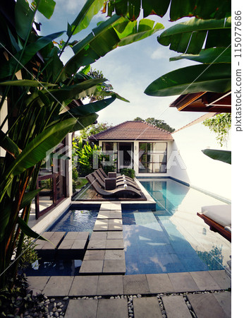 Beautiful contemporary home with pool and tropical ornament and plants pool with view of tropical blue water in clean garden 115077686