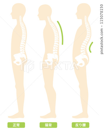 2024-Human body-posture illustration 115078150
