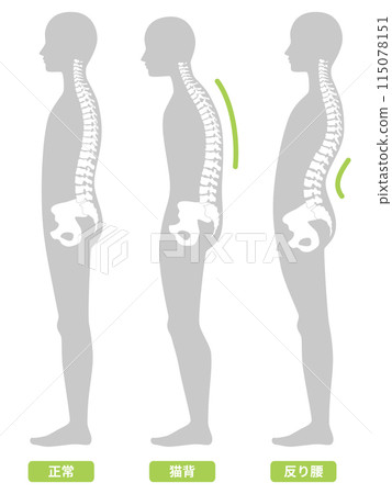 2024-Human body-posture illustration 115078151