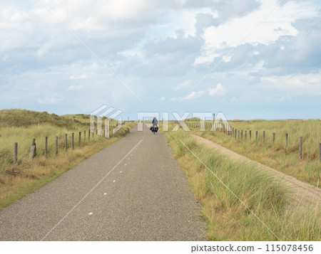 Egmond, Netherlands - August 5th 2023: Cycling on a perfect route through sand dunes on North Sea Cycling Route. 115078456