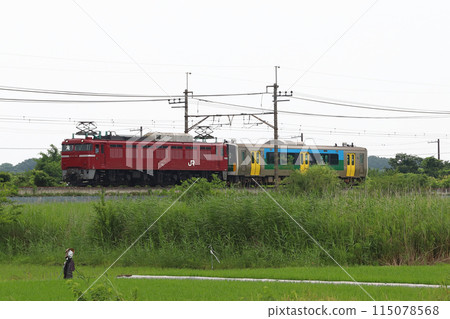 EF81型電力機車牽引:久留裡線E130系郡山綜合機車中心入口轉發 EF81型電力機車牽引:久留裡線E130系郡山綜合機車中心入口轉發 115078568