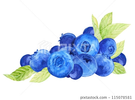 Blueberry composition. Watercolor blue berries, greens and leaves. A branch of ripe bilberry lies on the table. Illustration for packaging of eco-products, label for blueberry jam. 115078581